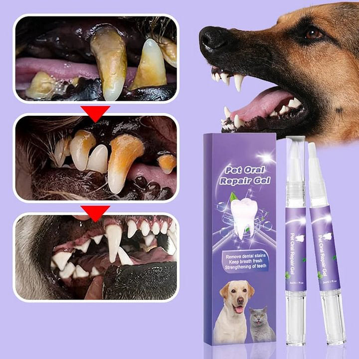 🥇KÖP 1 FÅ 1 GRATIS🔥Pet Oral Repair Gel🐱🐶
