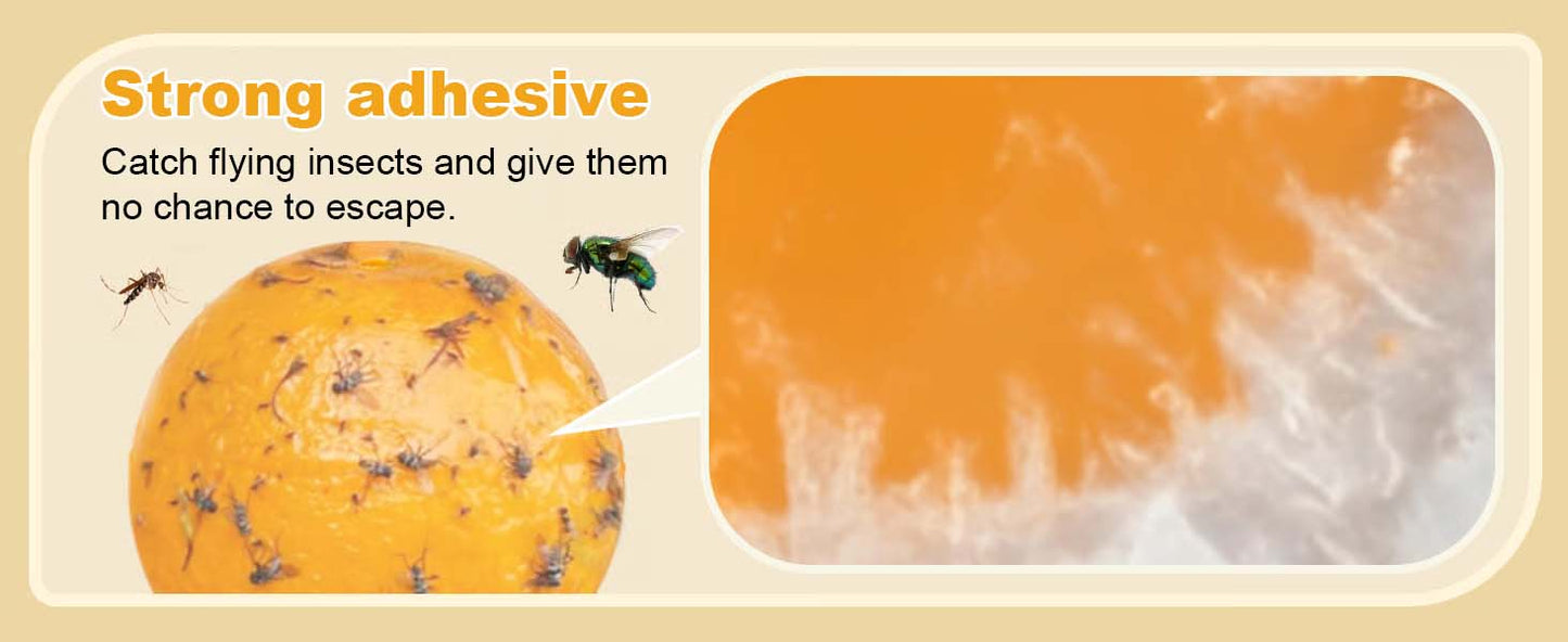 Fruktflue og knottfellebille