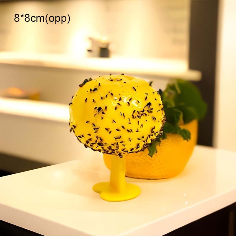 Fruktflue og knottfellebille