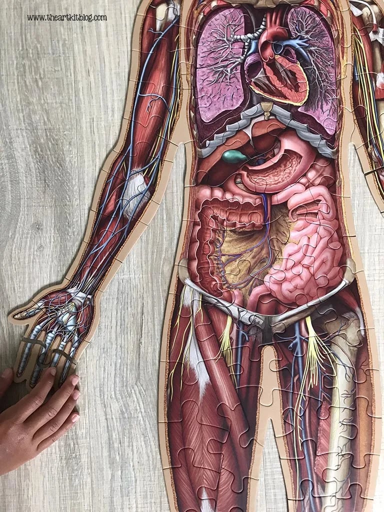 Gulvpuslespill for barn med 100 brikker av menneskekroppen