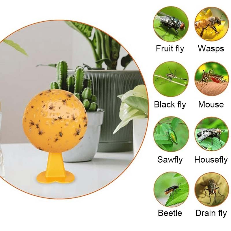 Fruktflue og knottfellebille