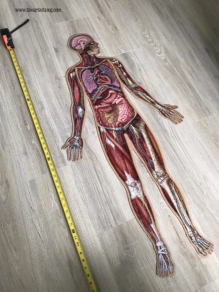 Gulvpuslespill for barn med 100 brikker av menneskekroppen