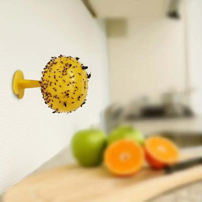 Fruktflue og knottfellebille