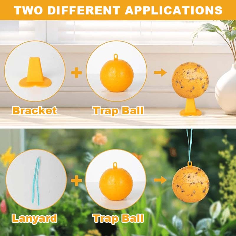 Fruktflue og knottfellebille