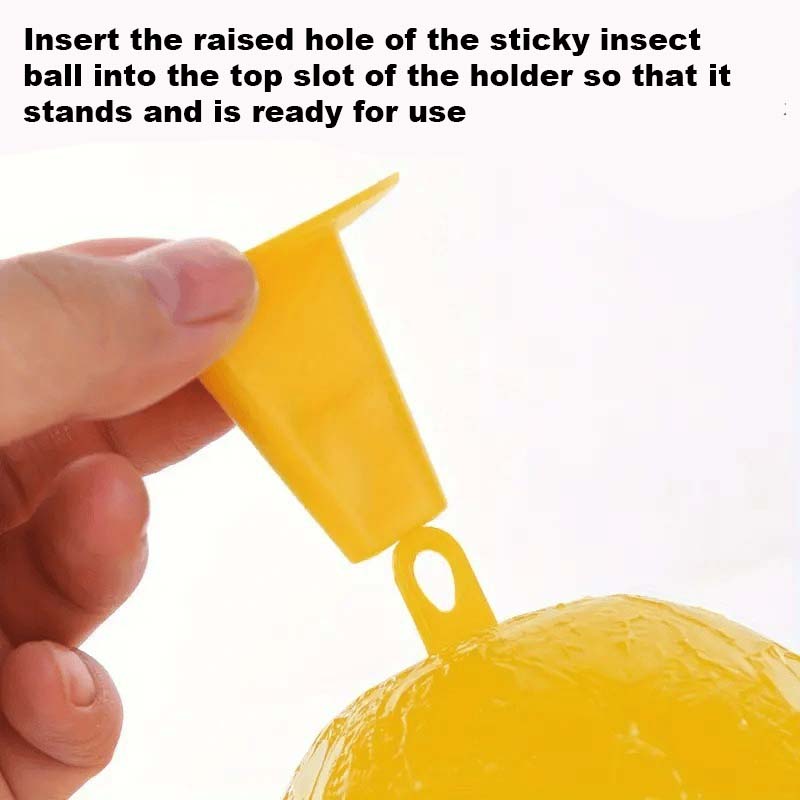 Fruktflue og knottfellebille