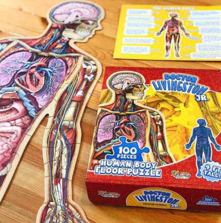 Gulvpuslespill for barn med 100 brikker av menneskekroppen