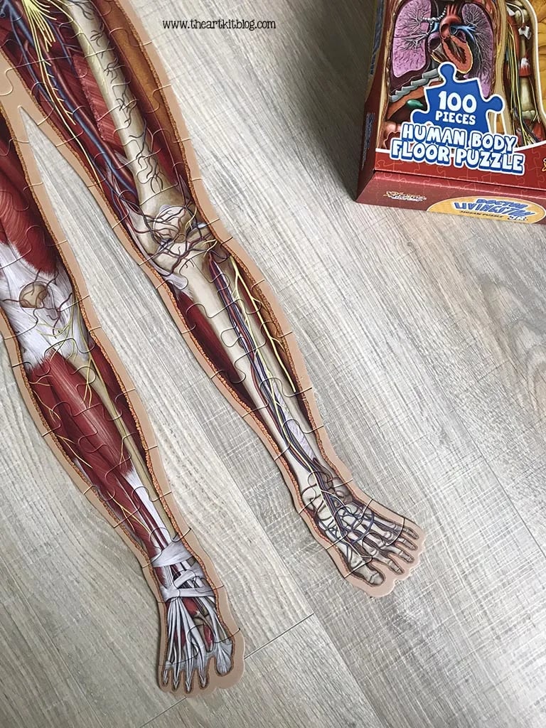 Gulvpuslespill for barn med 100 brikker av menneskekroppen