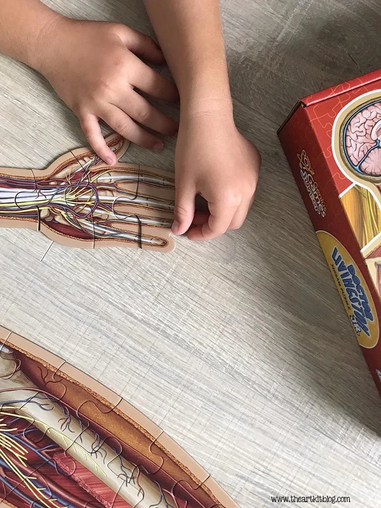 Gulvpuslespill for barn med 100 brikker av menneskekroppen