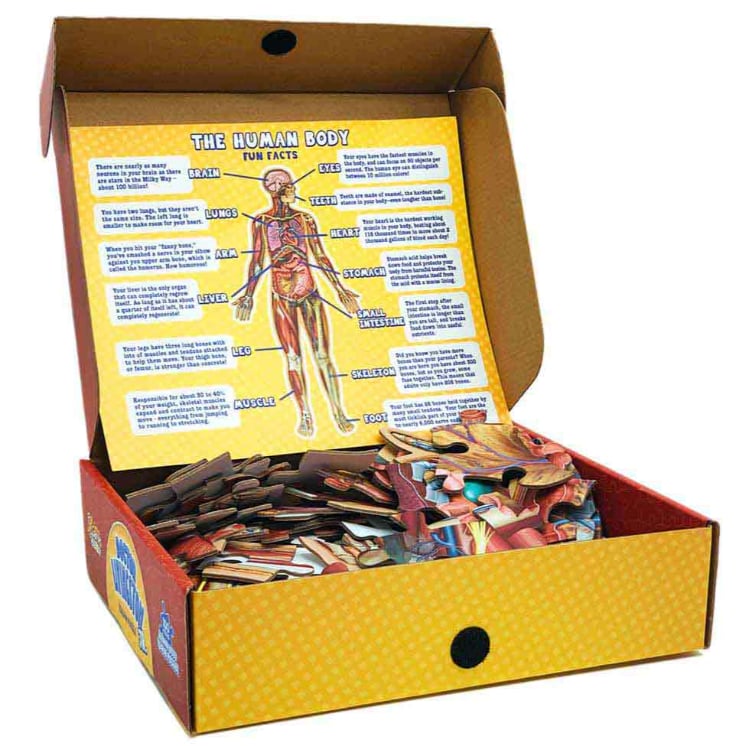 Gulvpuslespill for barn med 100 brikker av menneskekroppen